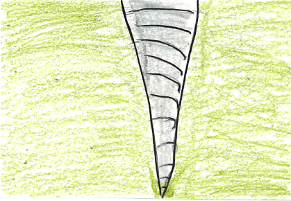 Magic Tree House: Twister On Tuesday