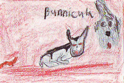 Bunnicula