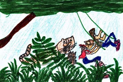 The Magic Tree House:  Tigers at Twilight