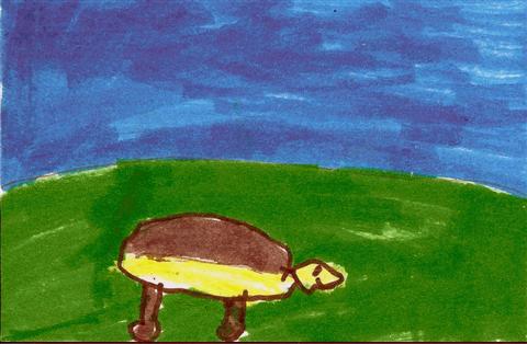 Yertle the Turtle