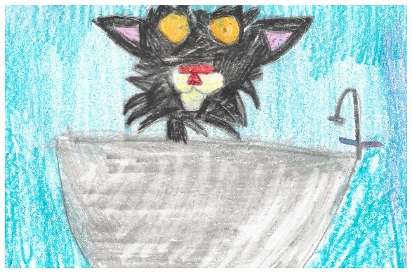 Bad Kitty Gets a Bath